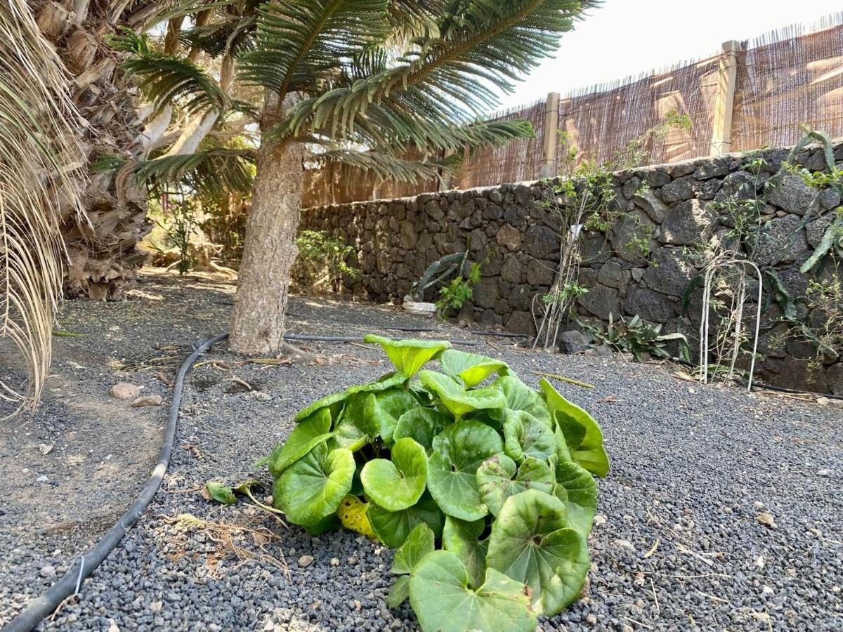 Cabanalanz, Cabanas En Lanzarote San Bartolomé Exterior foto