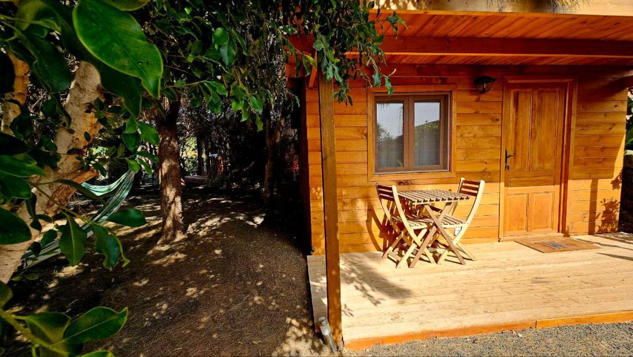 Cabanalanz, Cabanas En Lanzarote San Bartolomé Exterior foto