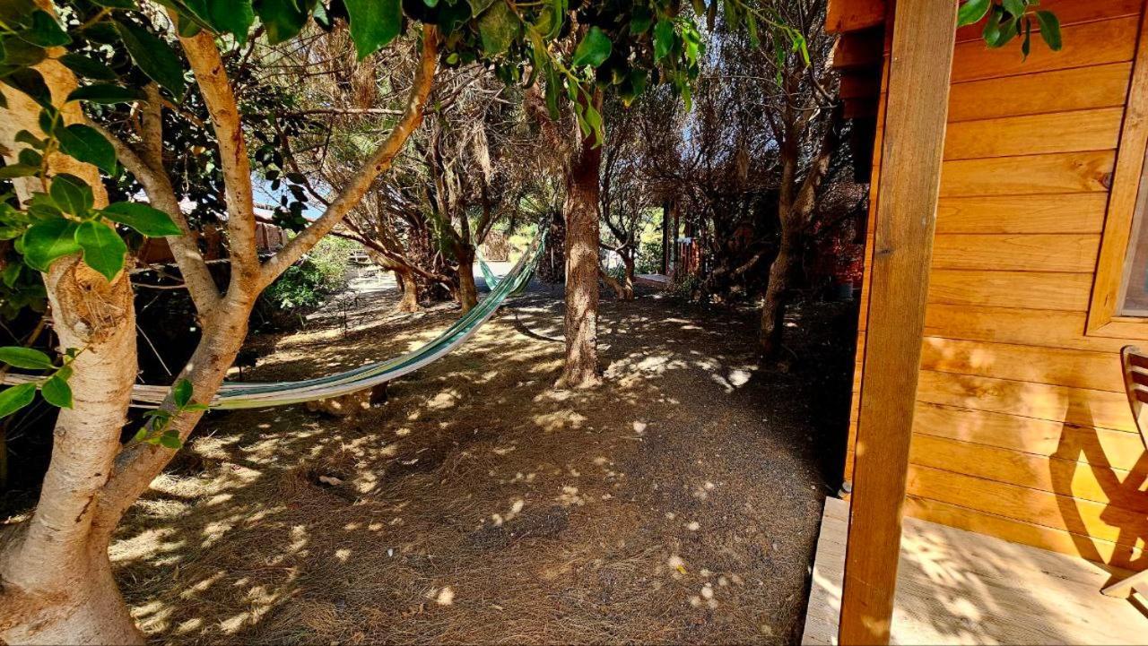 Cabanalanz, Cabanas En Lanzarote San Bartolomé Exterior foto