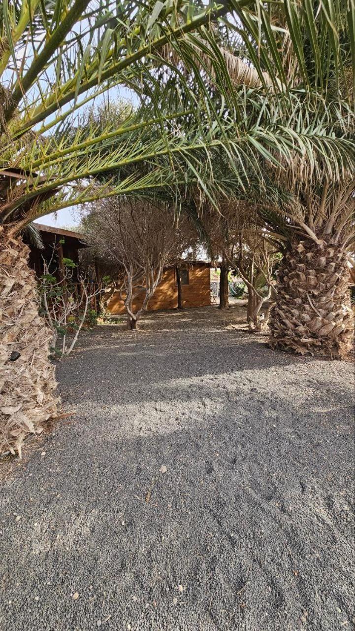 Cabanalanz, Cabanas En Lanzarote San Bartolomé Exterior foto