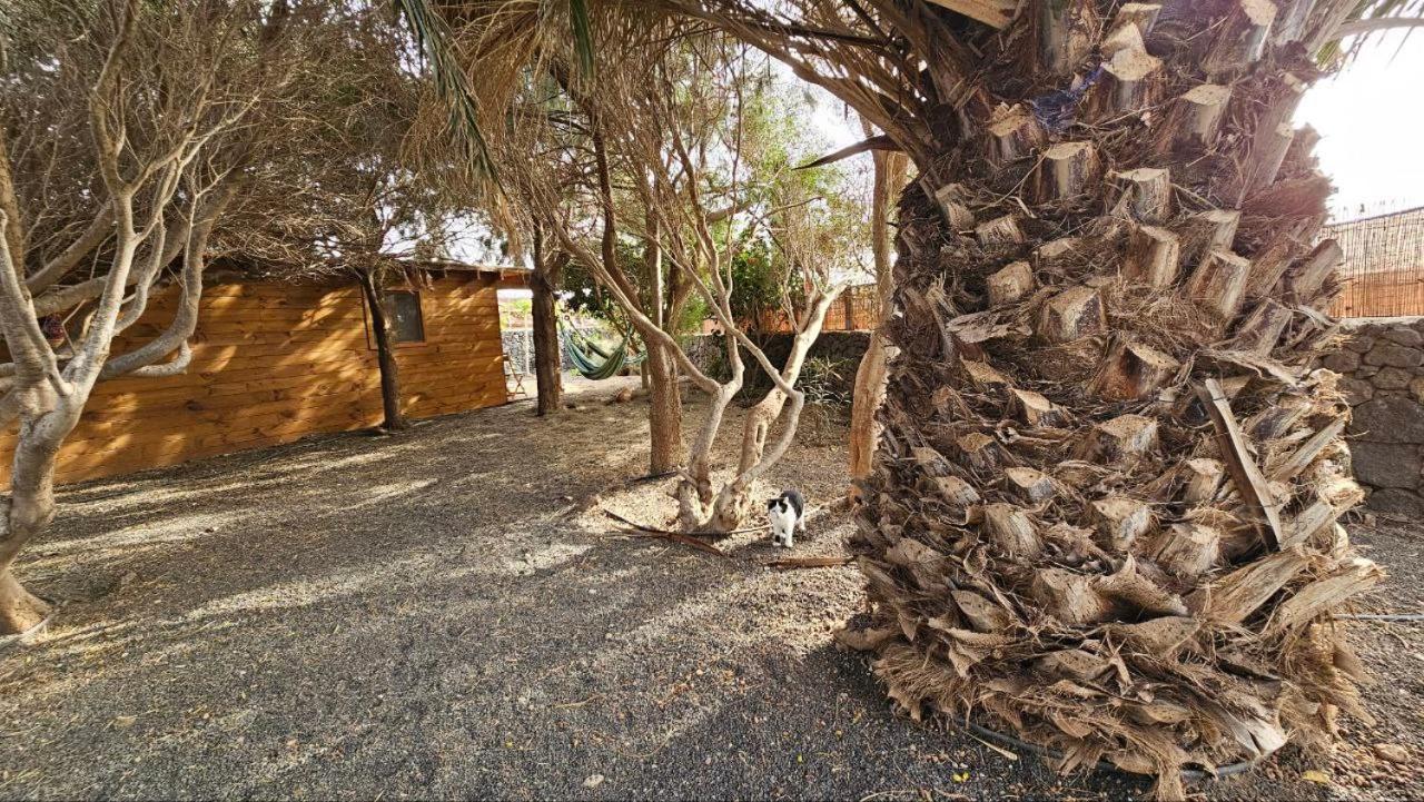 Cabanalanz, Cabanas En Lanzarote San Bartolomé Exterior foto